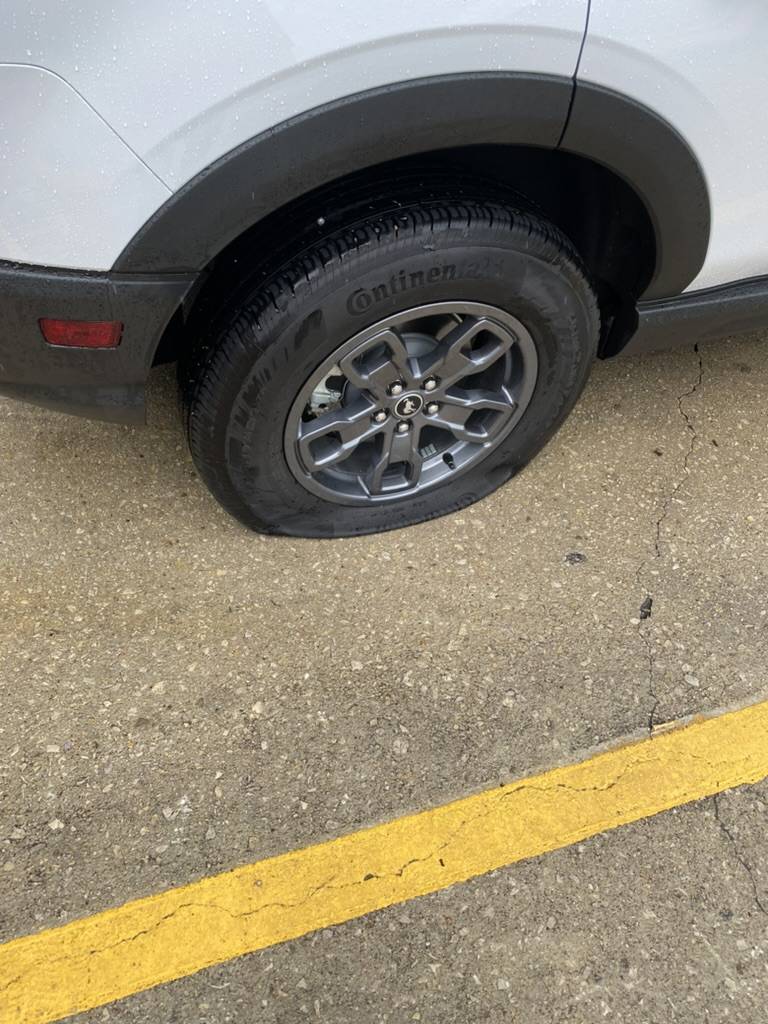 Ford Bronco Sport Say Hello and Introduce Yourself! ? 1747882850583-tw