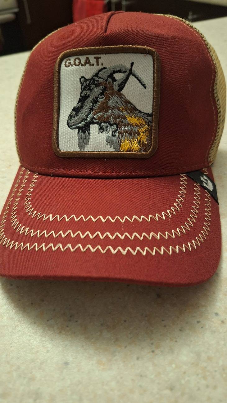 Ford Bronco Sport GOAT mode switch replacement 20250523_193538