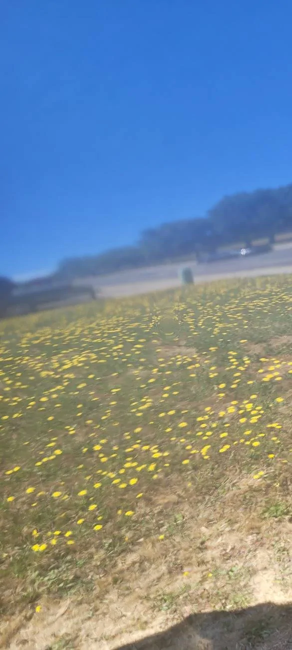 Ford Bronco Sport Quashish Family Ride Thread : 2024 Badlands 20250601_105209