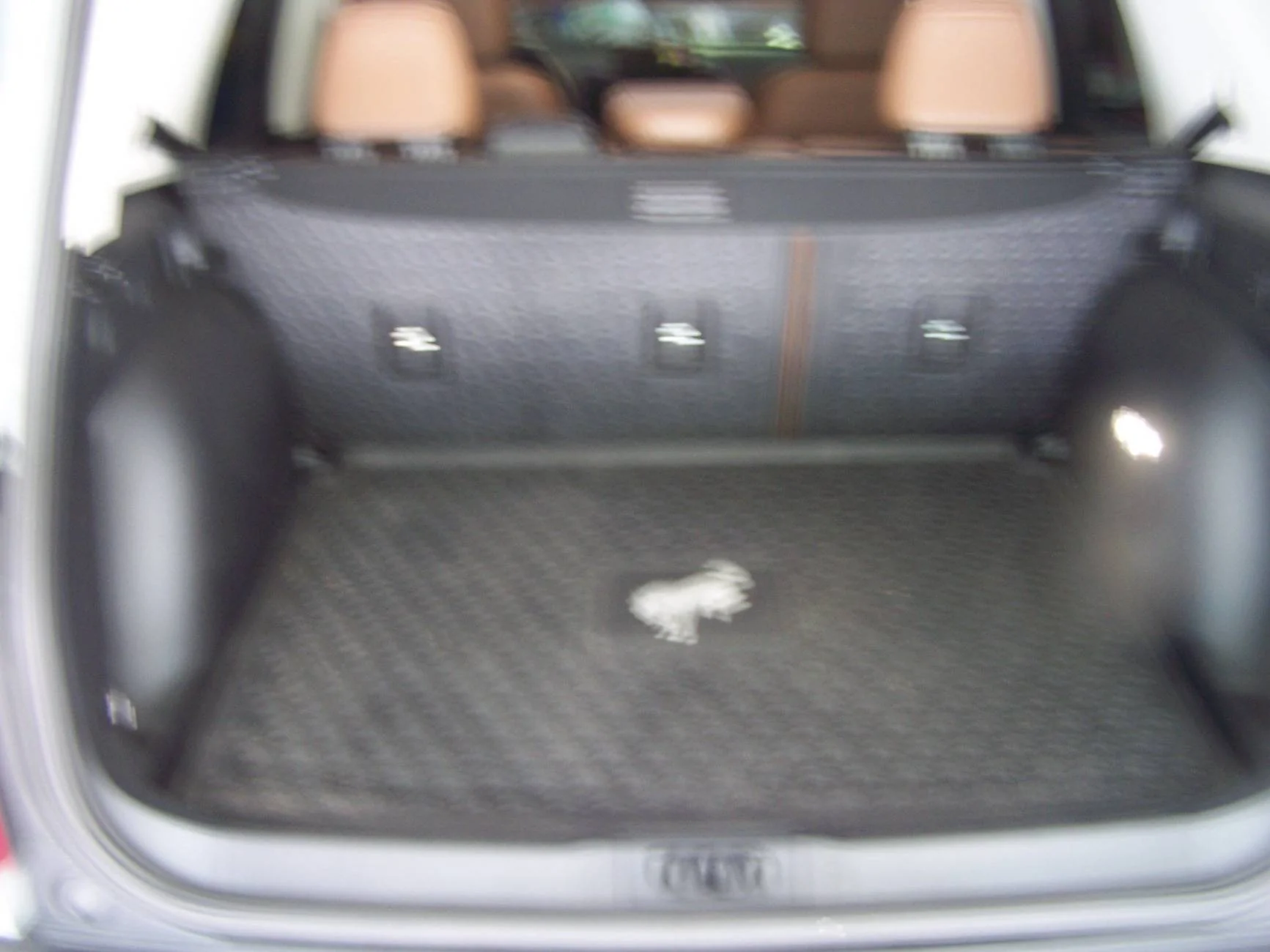 Ford Bronco Sport What did you do TO your Bronco Sport today? 100_6955