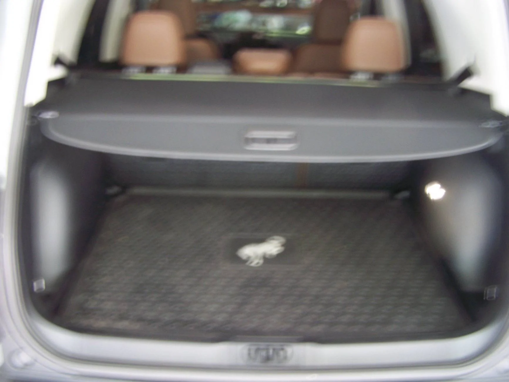 Ford Bronco Sport What did you do TO your Bronco Sport today? 100_6956