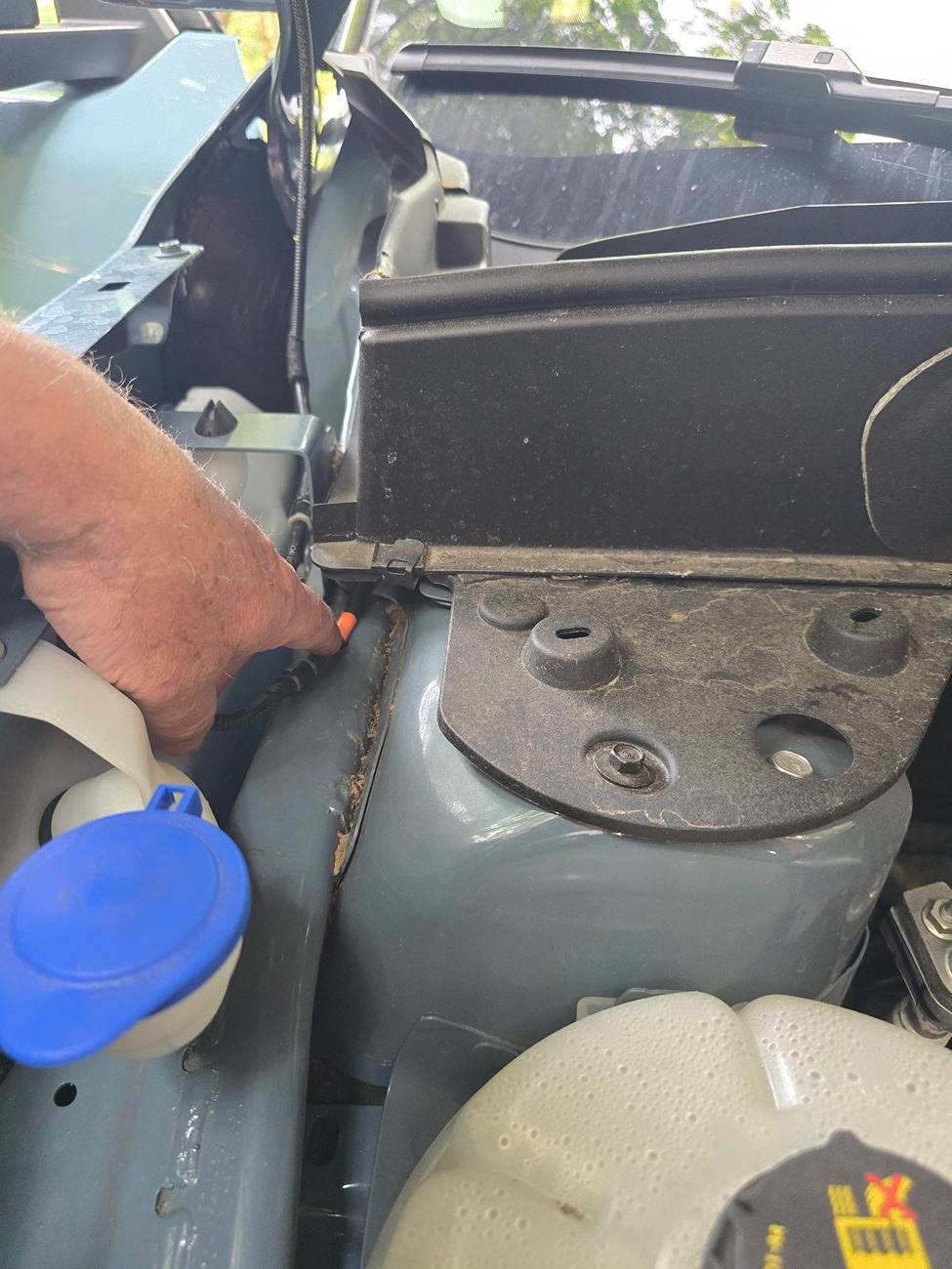 Ford Bronco Sport Deterring mice from the BS (nesting on cabin air filter) 17498432805696672512870669808544