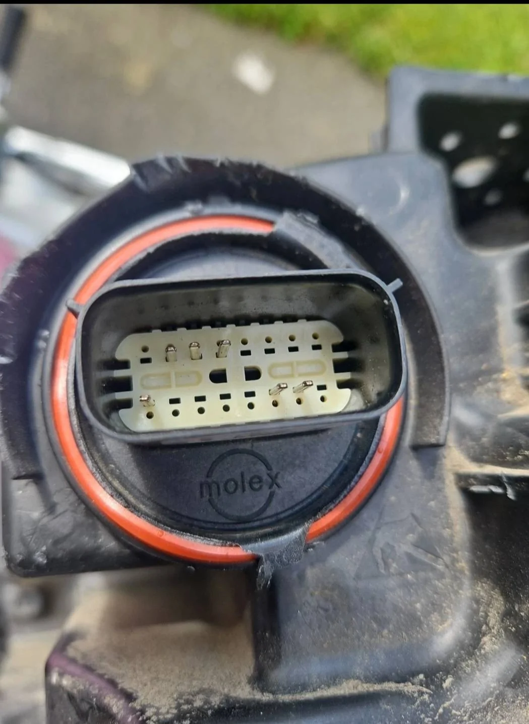 Ford Bronco Sport '21 Sport Big Bend headlight harness pin layout? 1000016903