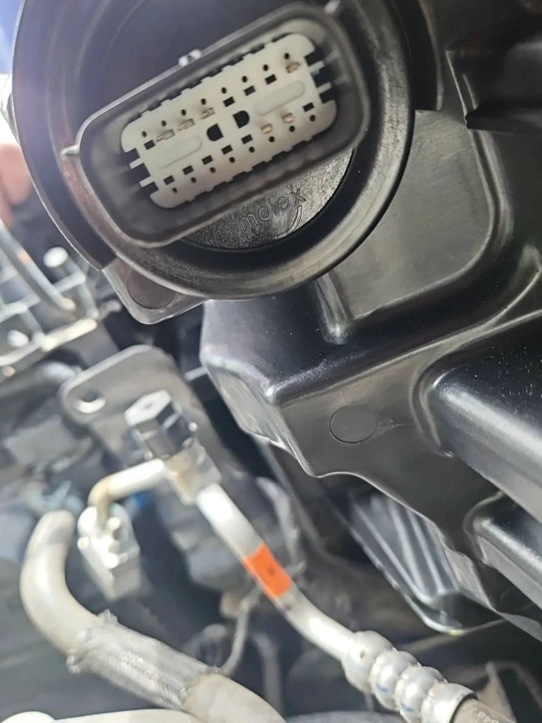 Ford Bronco Sport '21 Sport Big Bend headlight harness pin layout? 1000016904