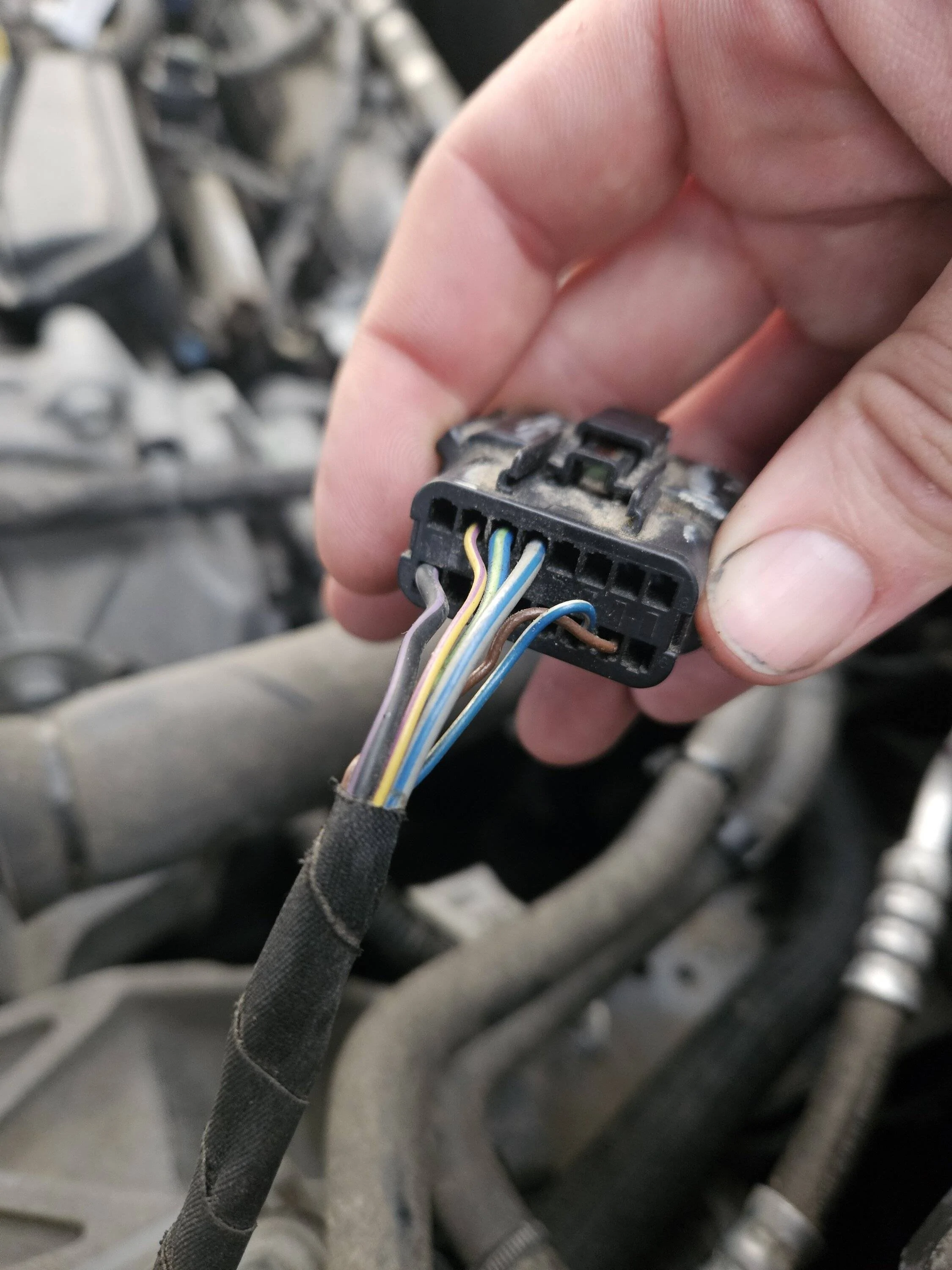 Ford Bronco Sport '21 Sport Big Bend headlight harness pin layout? 1000016905