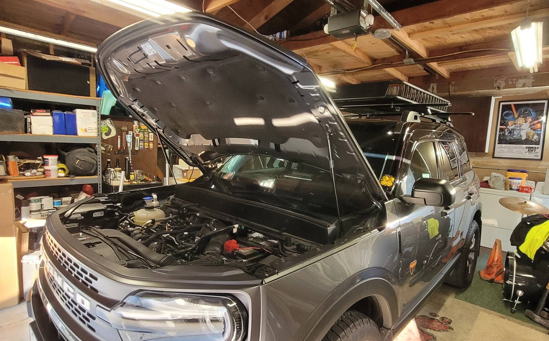 Ford Bronco Sport Quashish Family Ride Thread : 2024 Badlands 20250621_193155