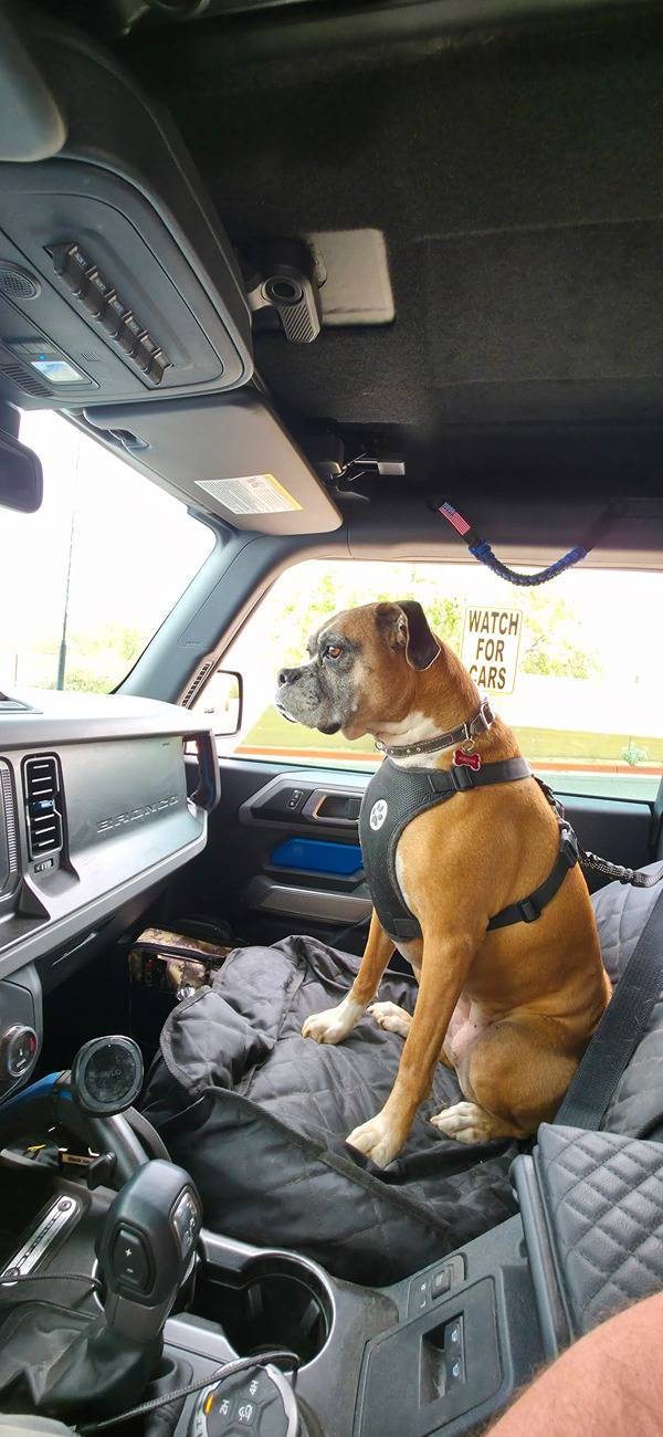 Ford Bronco Sport Bronco Sport vs. Full Size Bronco 1000007895-