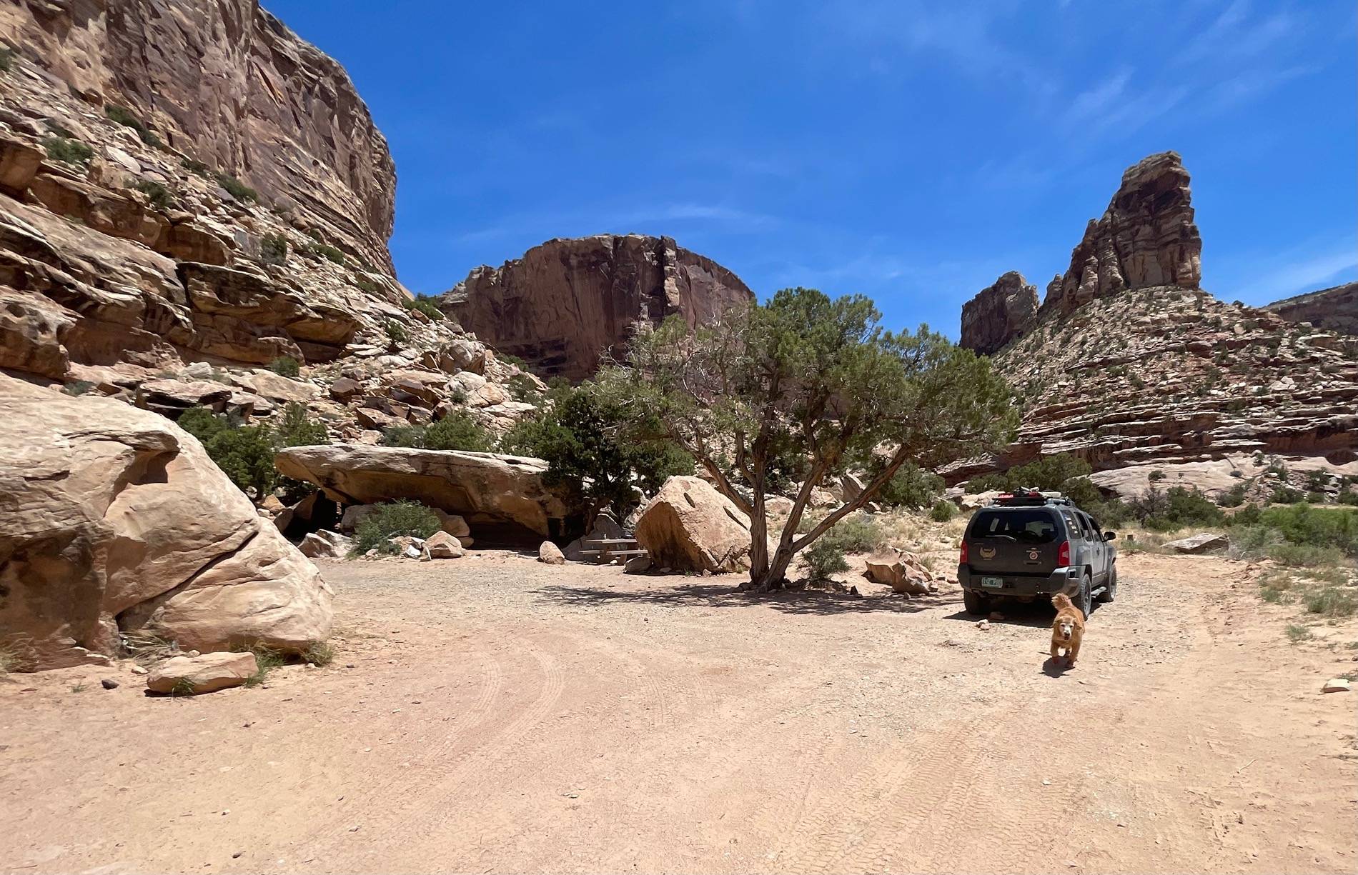 Ford Bronco Sport Rubitrek tires IMG_8140