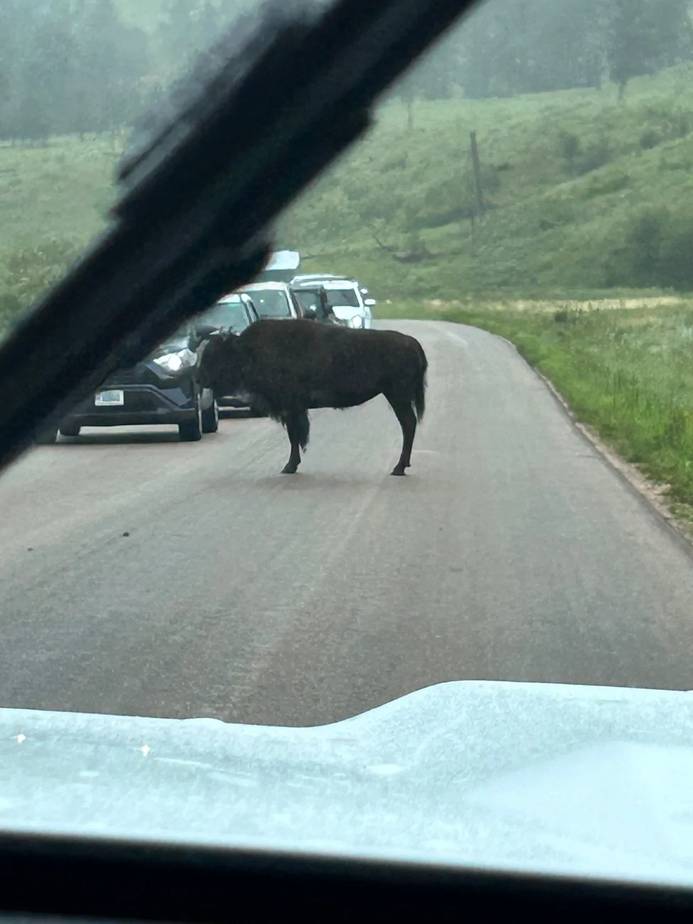 Ford Bronco Sport How is everyone 2025 BS doing!!? IMG_4576