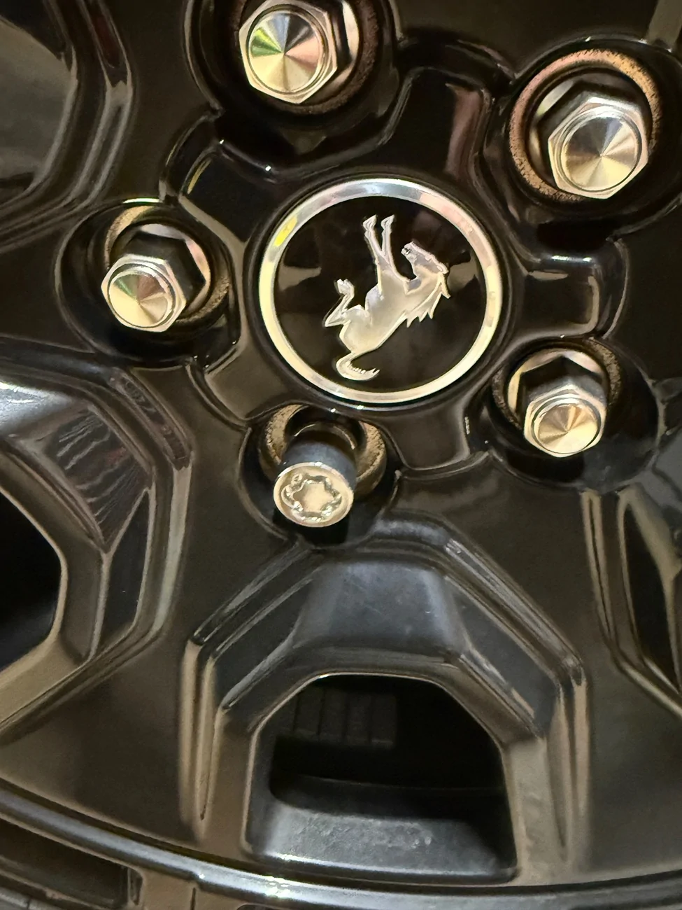 Ford Bronco Sport What did you do TO your Bronco Sport today? IMG_2466