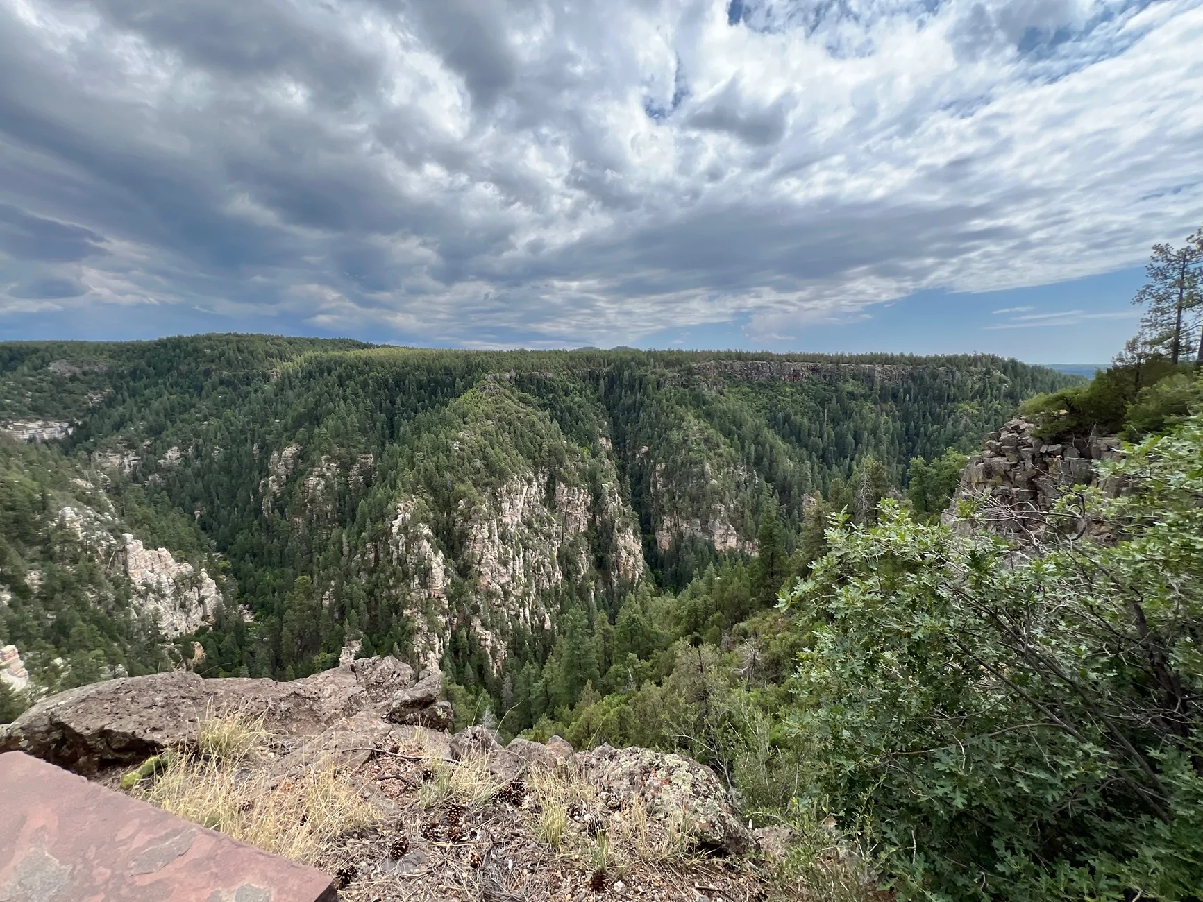Ford Bronco Sport Baby’s First Trip: Flagstaff (Day 1) IMG_1238