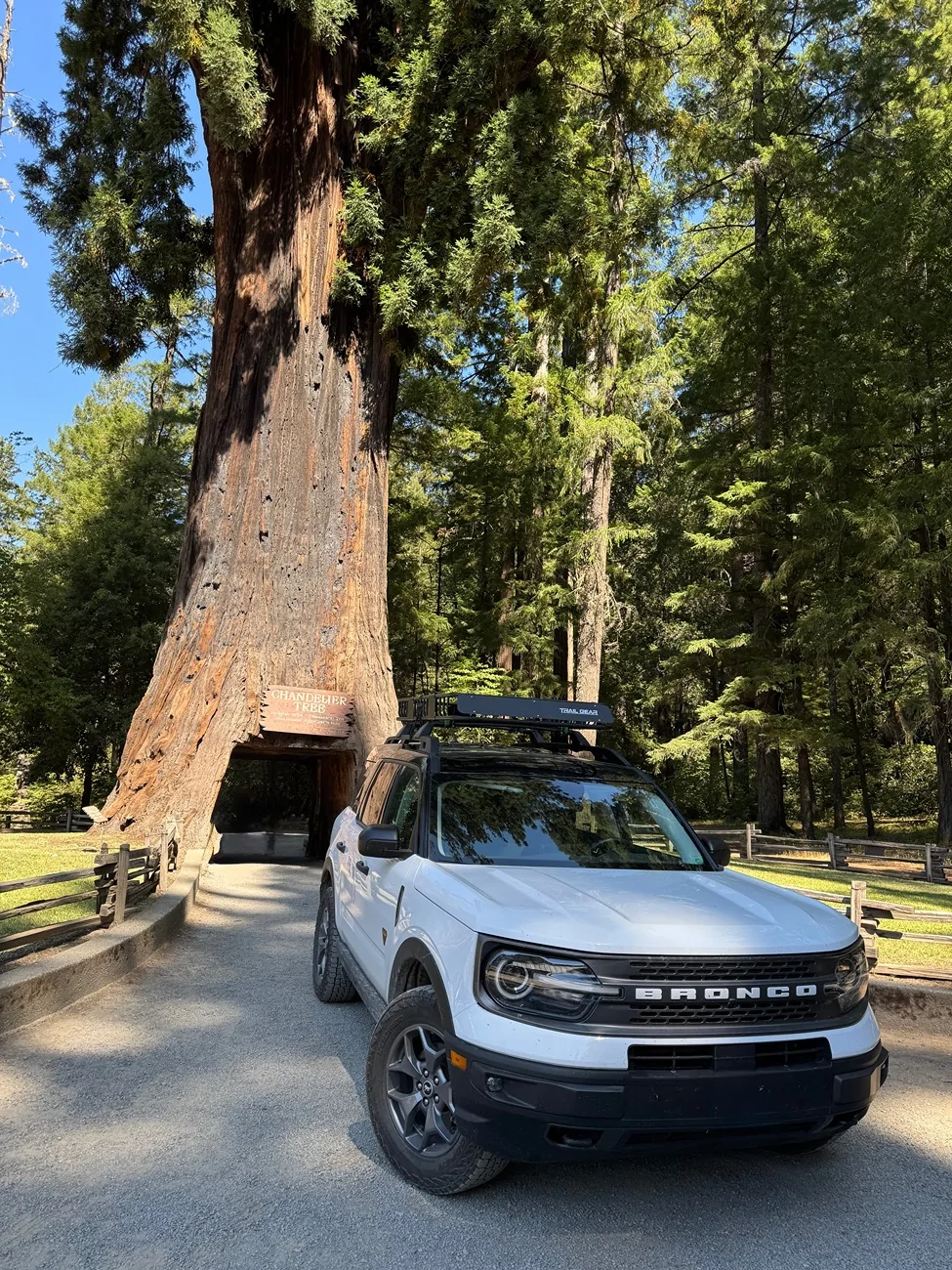 Ford Bronco Sport The “Not” Drive Thru Tree IMG_2322