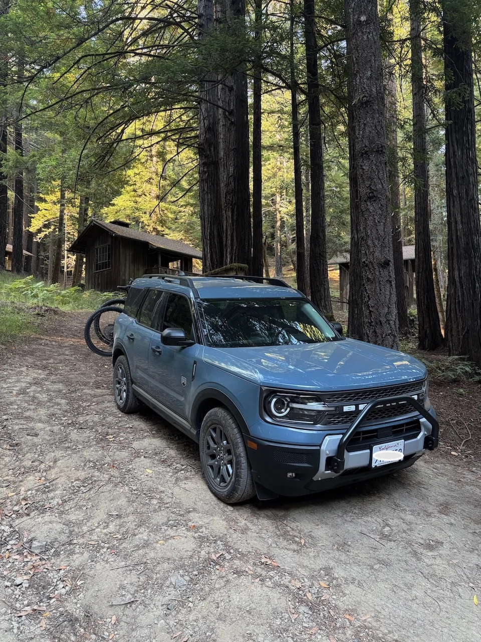 Ford Bronco Sport The “Not” Drive Thru Tree IMG_1472