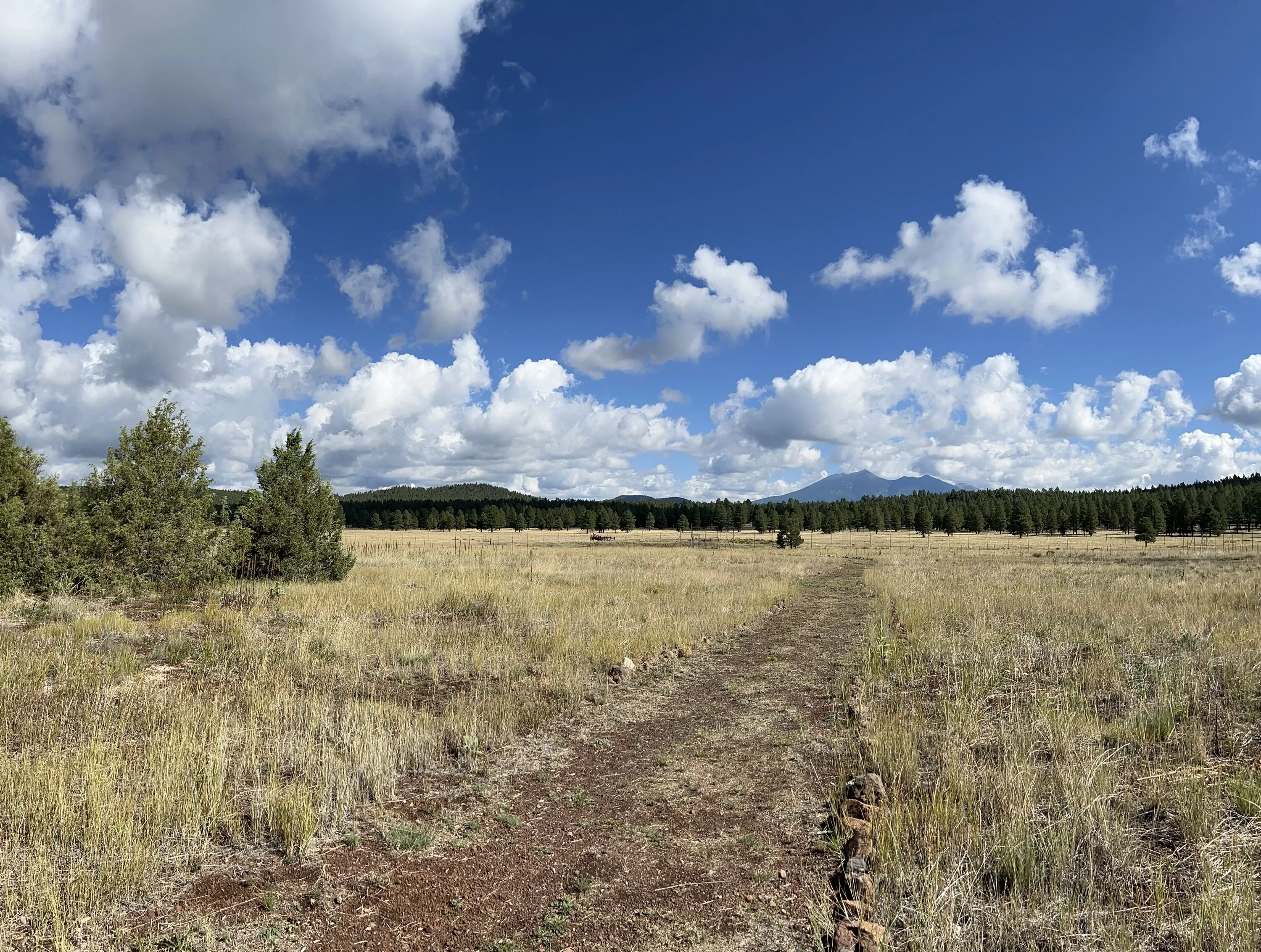 Ford Bronco Sport Flagstaff (Day 3, finis) IMG_1256
