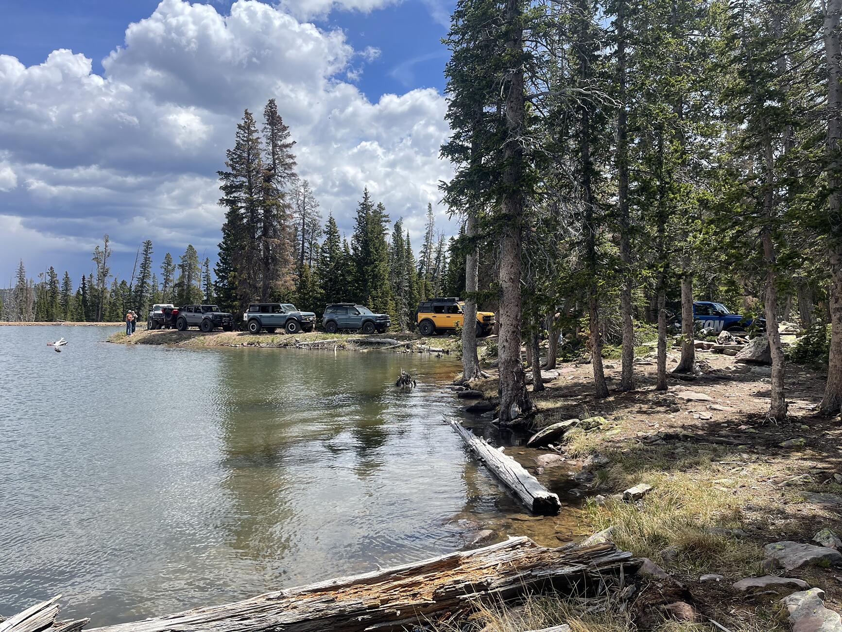 Ford Bronco Sport Bronco Safari 2025 - Bronco Sport First Edition POV LineupLAKES1