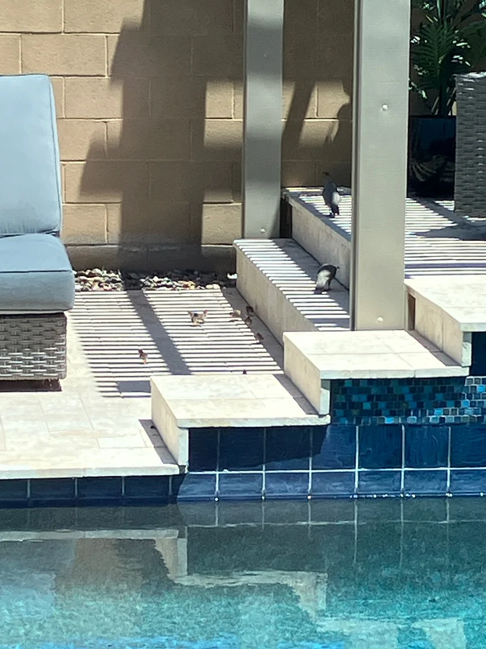 Ford Bronco Sport Just Arizona Things IMG_2629