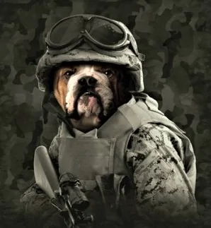 Ford Bronco Sport $1000 cash bonus discount on new Ford vehicle for military, veterans, first responders DOG WITH GEAR