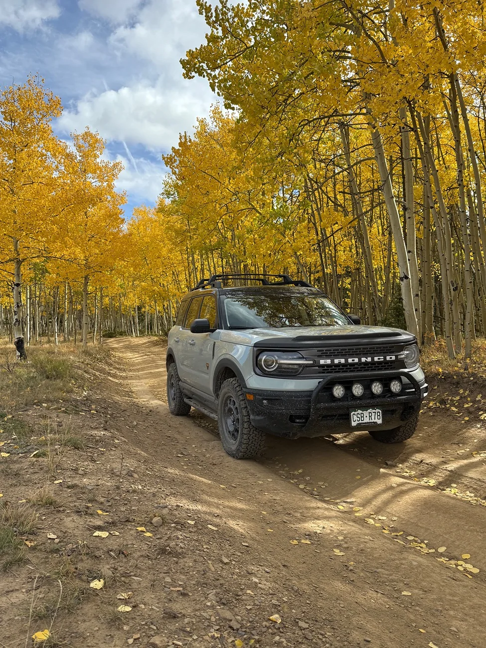 Ford Bronco Sport Can’t log into Ford app after update IMG_9547