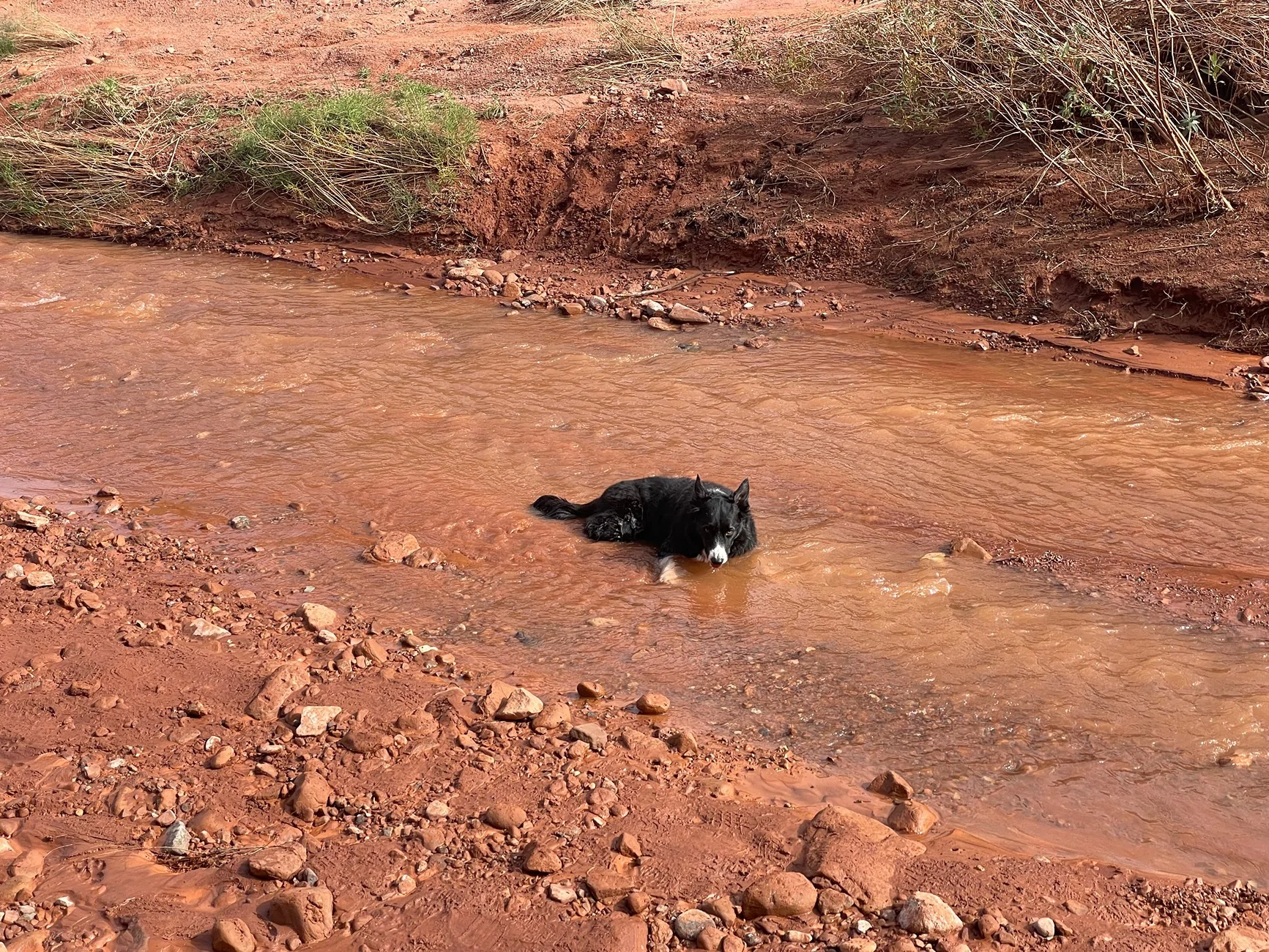Ford Bronco Sport Trip Report: Bronco Off-Roadeo Moab October 2025 (Long Post) IMG_0023