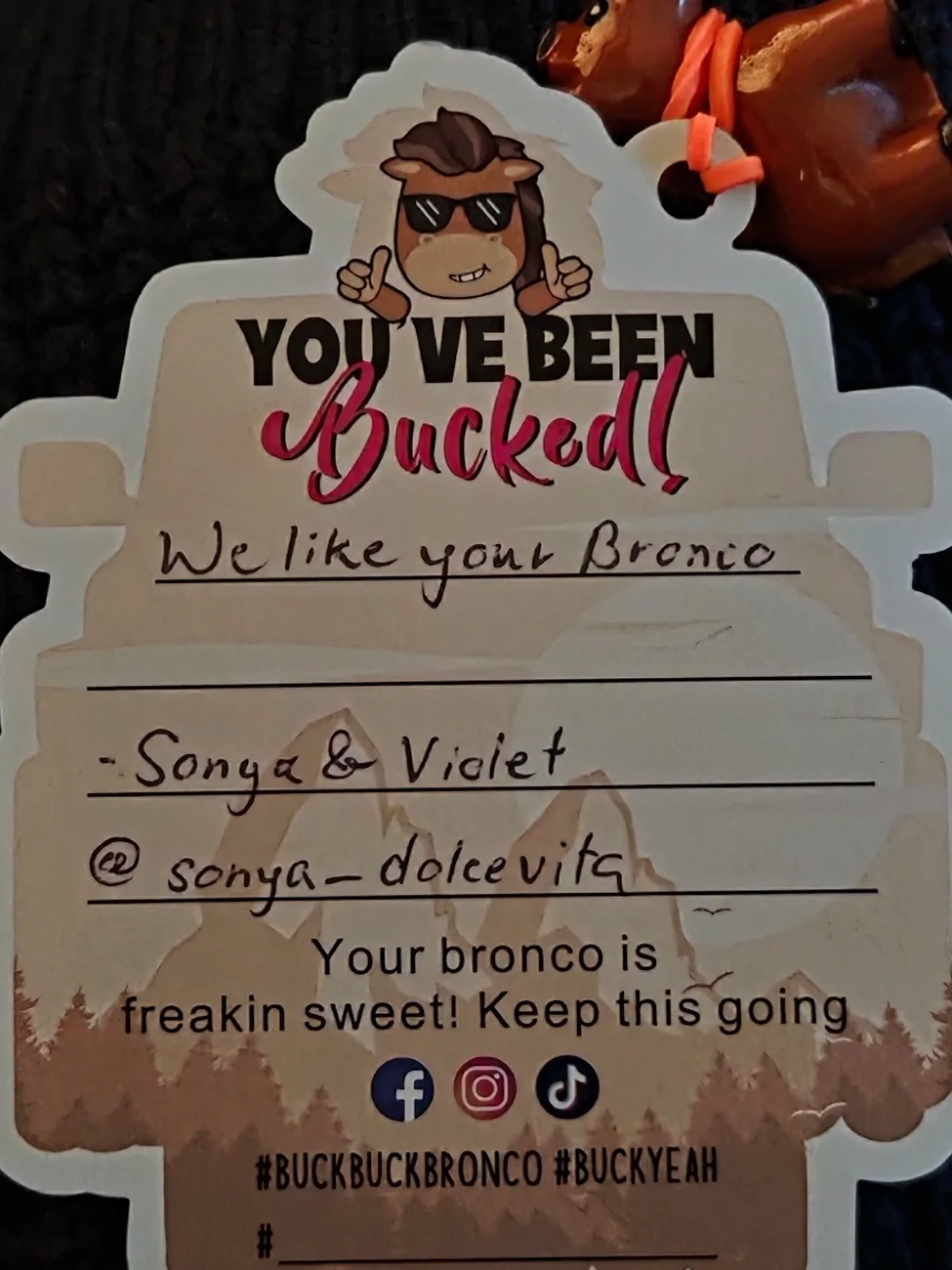 Ford Bronco Sport We've been bucked! 8848