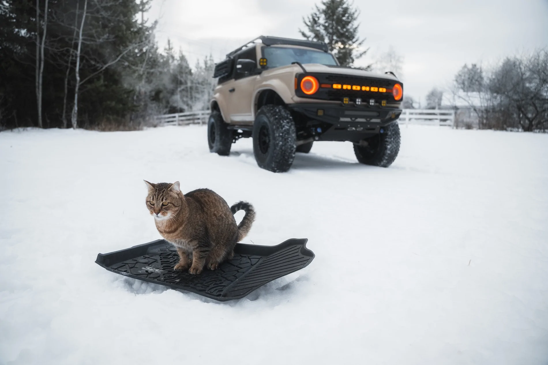 Ford Bronco Sport Black Friday Preview: Winter’s almost here—keep your vehicle protected and save big  bronco论坛可发