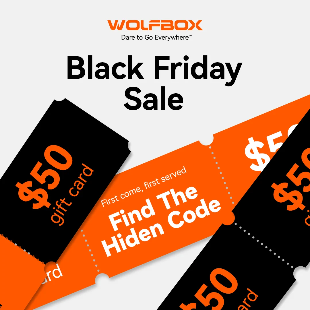 Black Friday.webp
