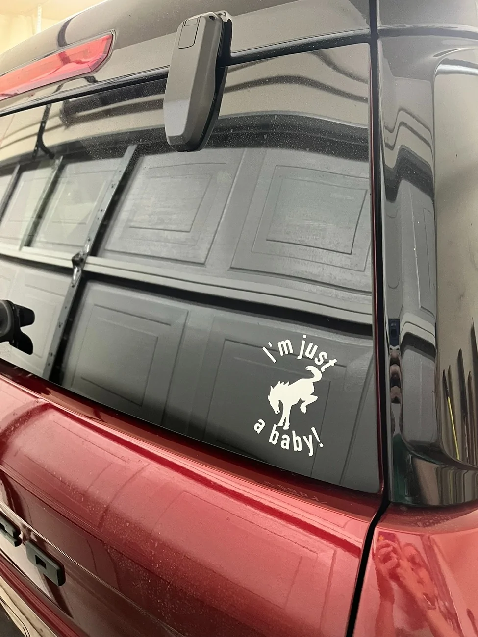 Ford Bronco Sport Let's see your rear or side window stickers! IMG_0531