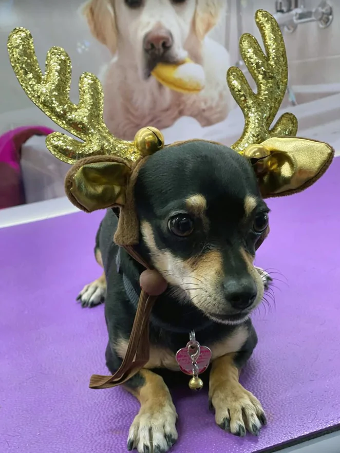 Let’s see what you love more than being around other people…