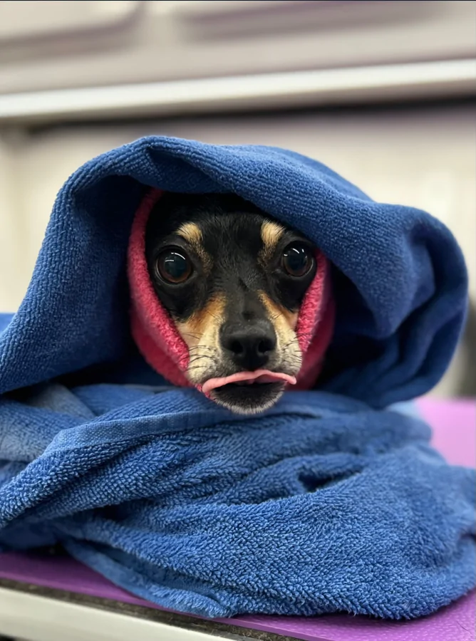 Ford Bronco Sport Let's see what you love more than being around other people... 1764963221352-hn