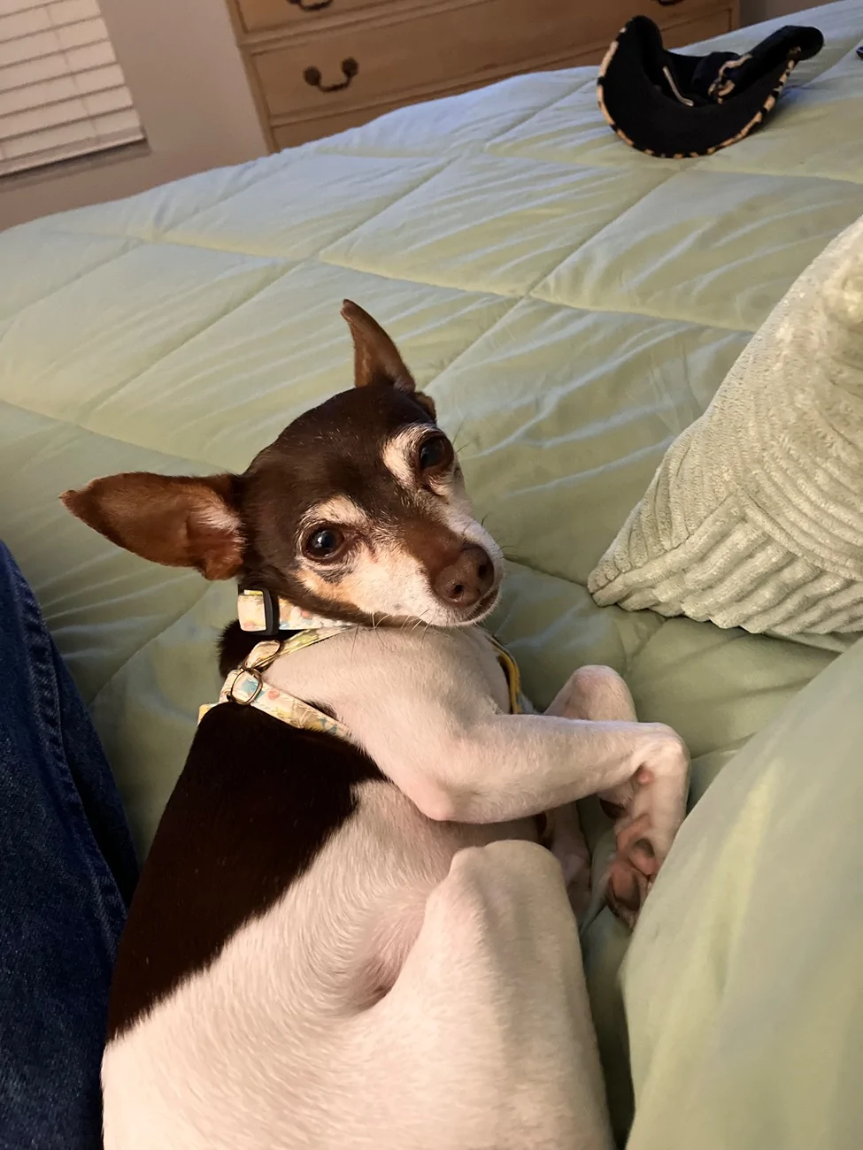 Ford Bronco Sport Let's see what you love more than being around other people... IMG_1044