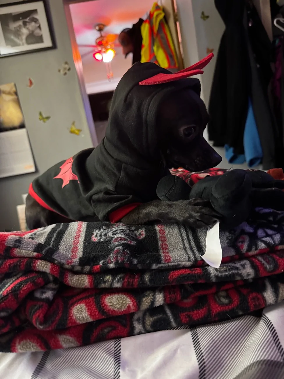 Ford Bronco Sport Let's see what you love more than being around other people... IMG_0490