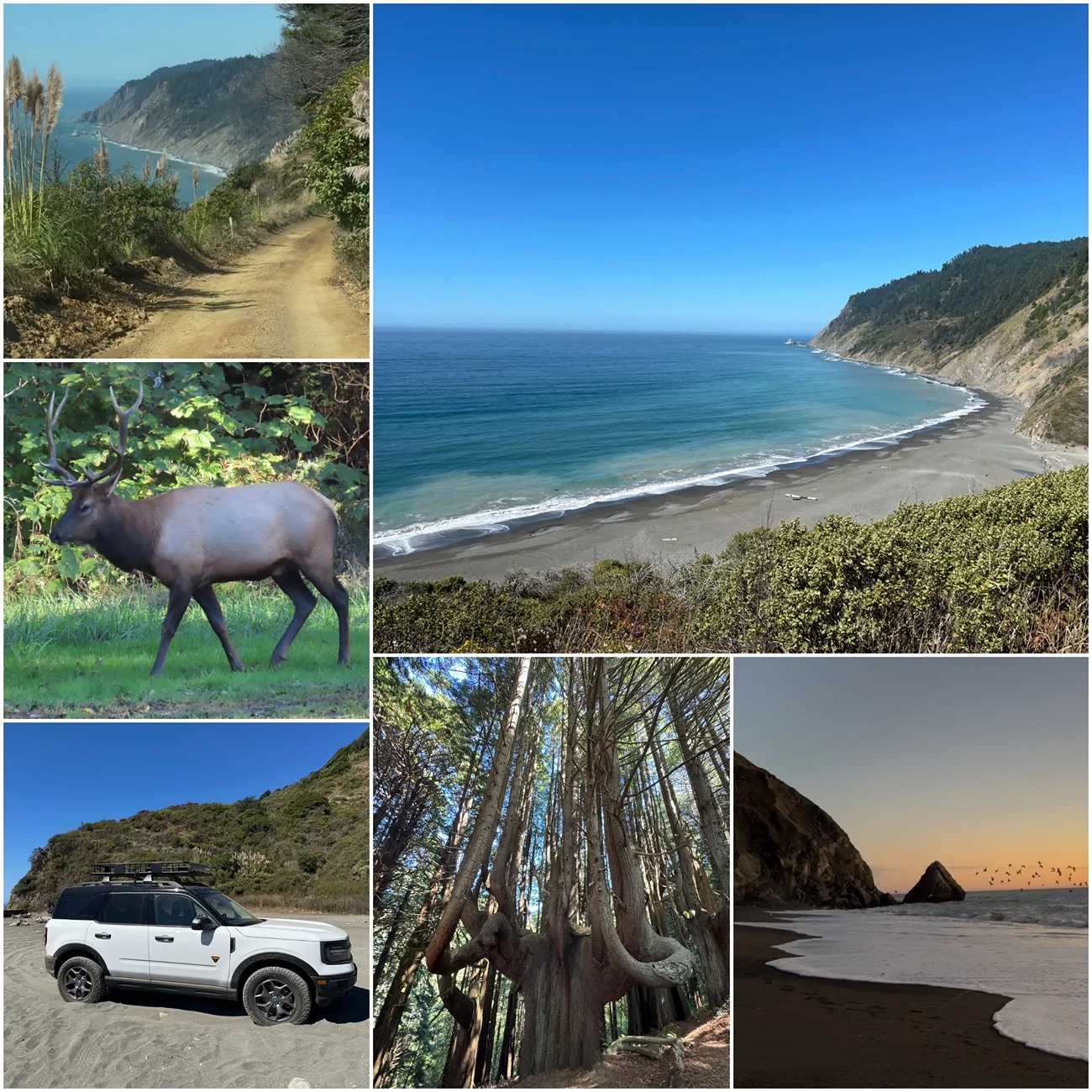 Ford Bronco Sport California Sinkyone Wilderness State Park with Bronco Sport Badlands LC UB