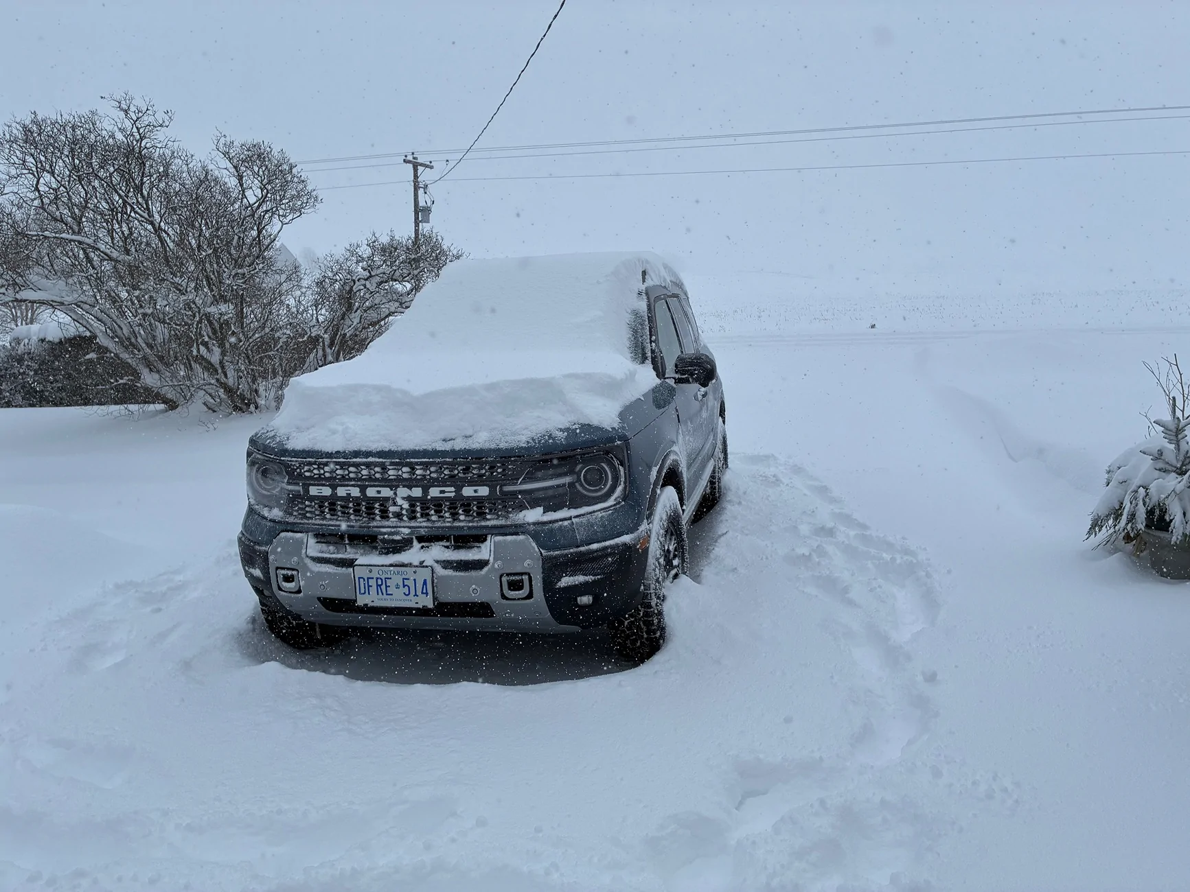 Ford Bronco Sport But............ IMG_0193