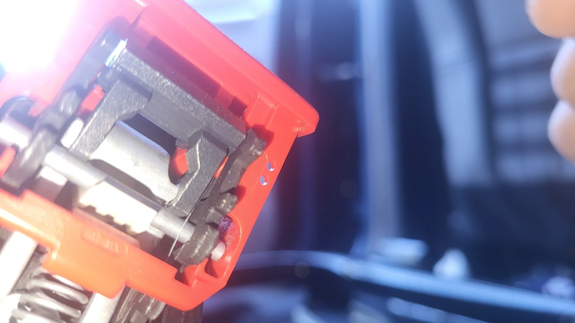 Ford Bronco Sport 2025 Rear Seat Belt Buckle Seizing 20251213_144505