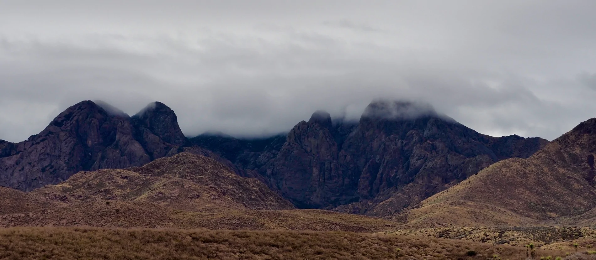 Ford Bronco Sport What did you do TO your Bronco Sport today? PC230041