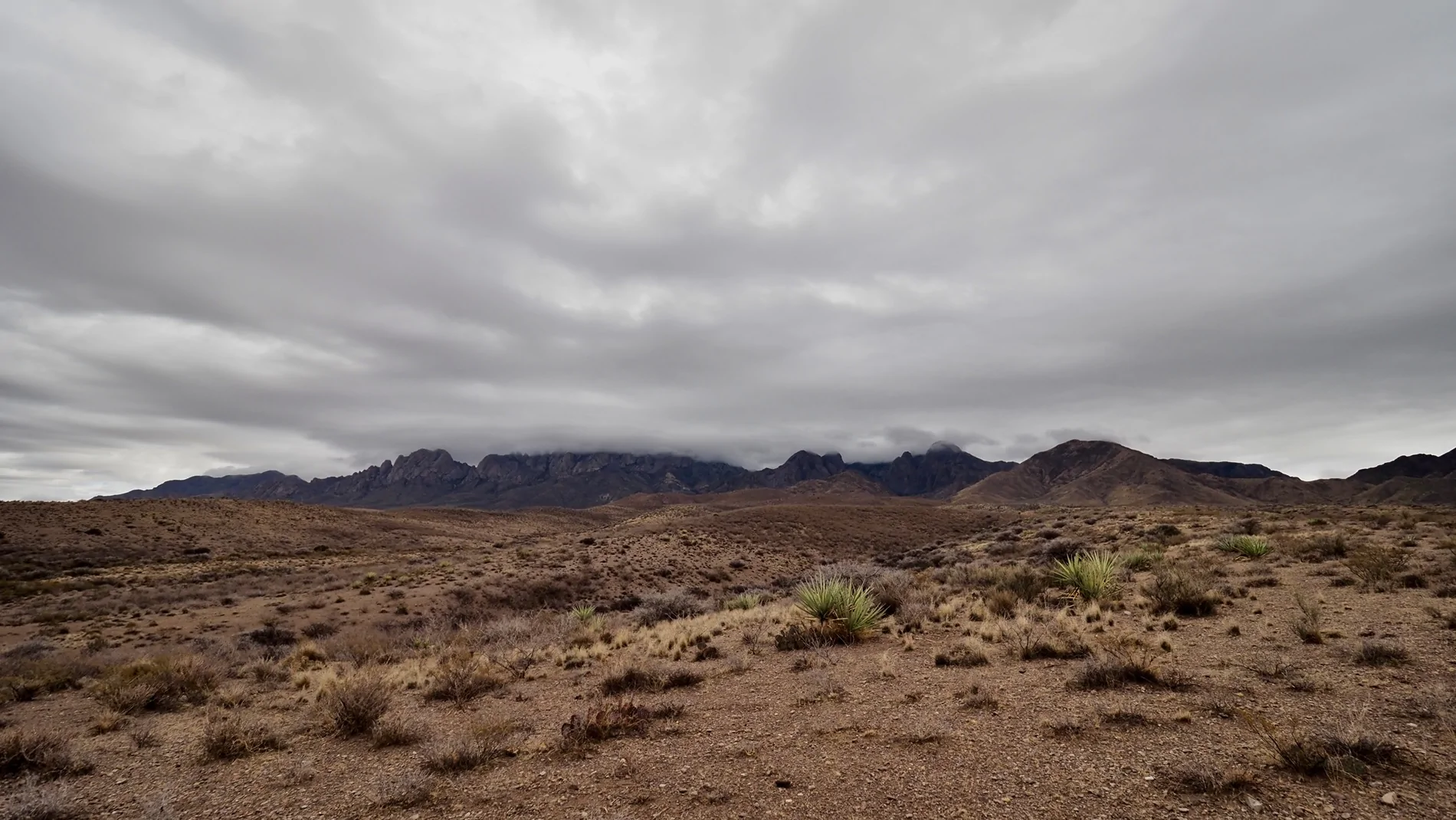 Ford Bronco Sport What did you do TO your Bronco Sport today? PC230034