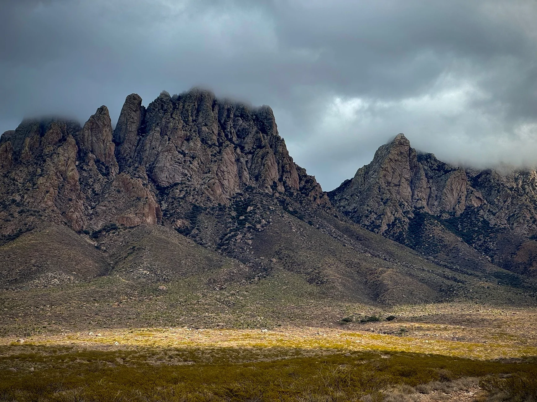 Ford Bronco Sport What did you do TO your Bronco Sport today? IMG_0515