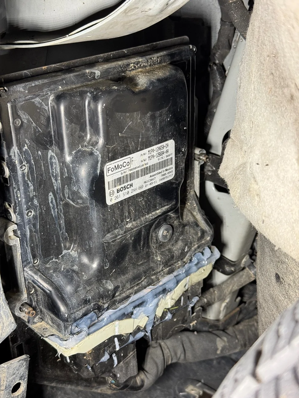 Ford Bronco Sport Bronco Sport Badlands dies crossing 20" of Water IMG_7334