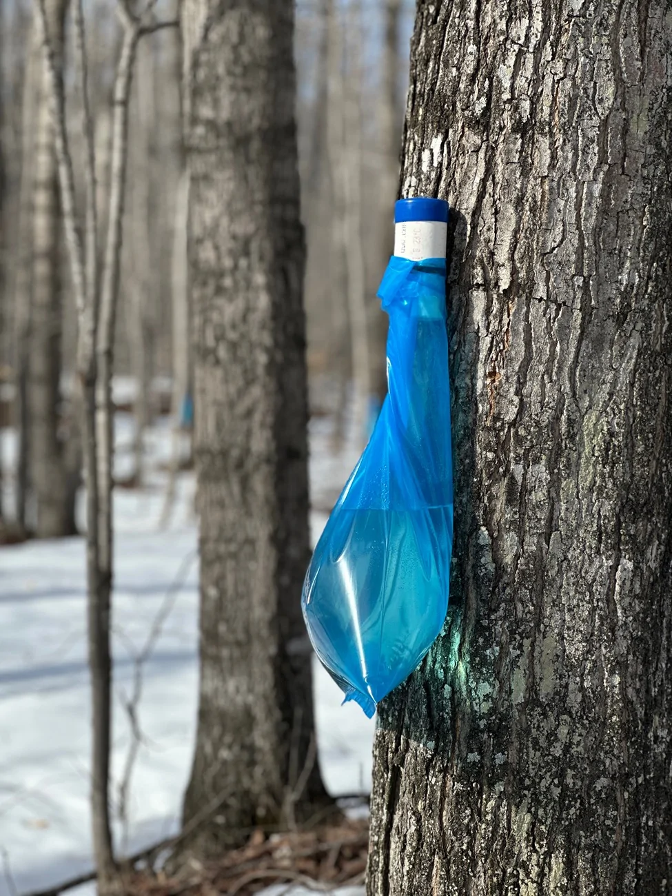 Ford Bronco Sport What hobbies do y’all have? IMG_4477