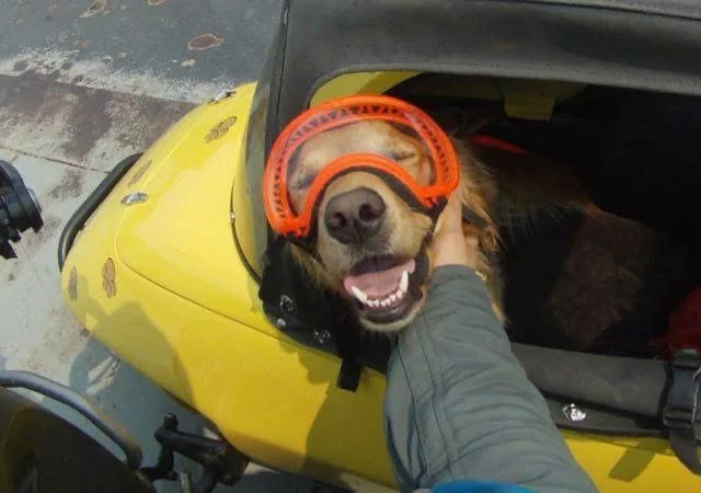 Ford Bronco Sport What hobbies do y’all have? IMG_1624