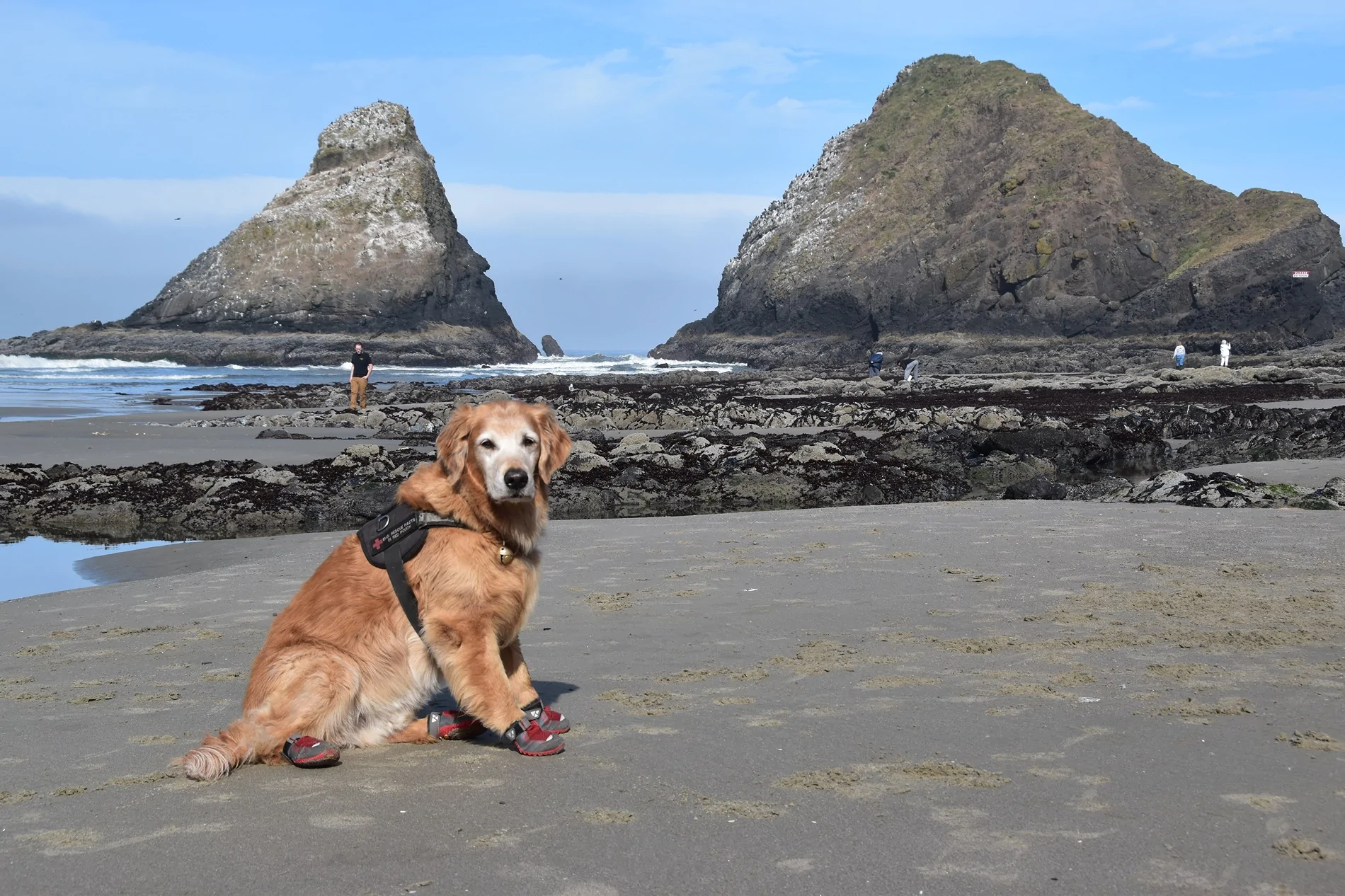 Ford Bronco Sport What hobbies do y’all have? DSC_0031