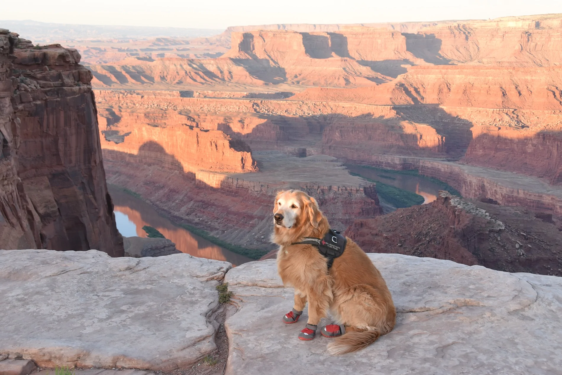 Ford Bronco Sport What hobbies do y’all have? DSC_0027