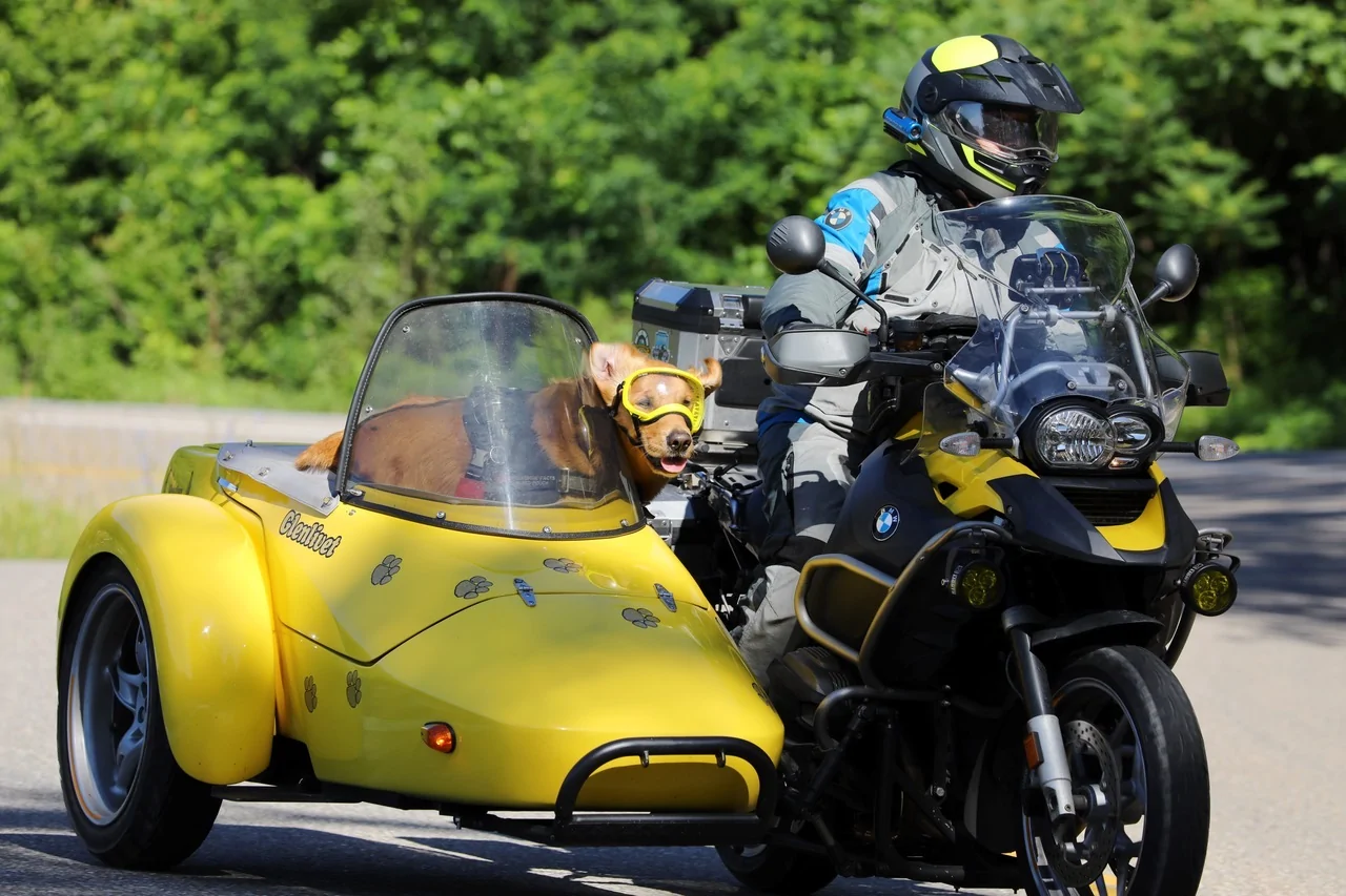 Ford Bronco Sport What hobbies do y’all have? DragonMidrange copy