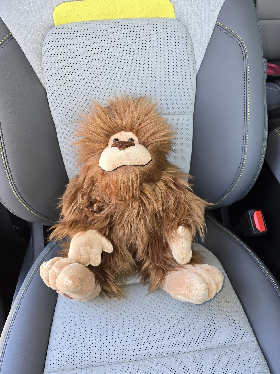 Ford Bronco Sport Introducing Ratsquatch - 2025 Bronco Sport Badlands with Sasquatch package IMG-20251101-WA0005