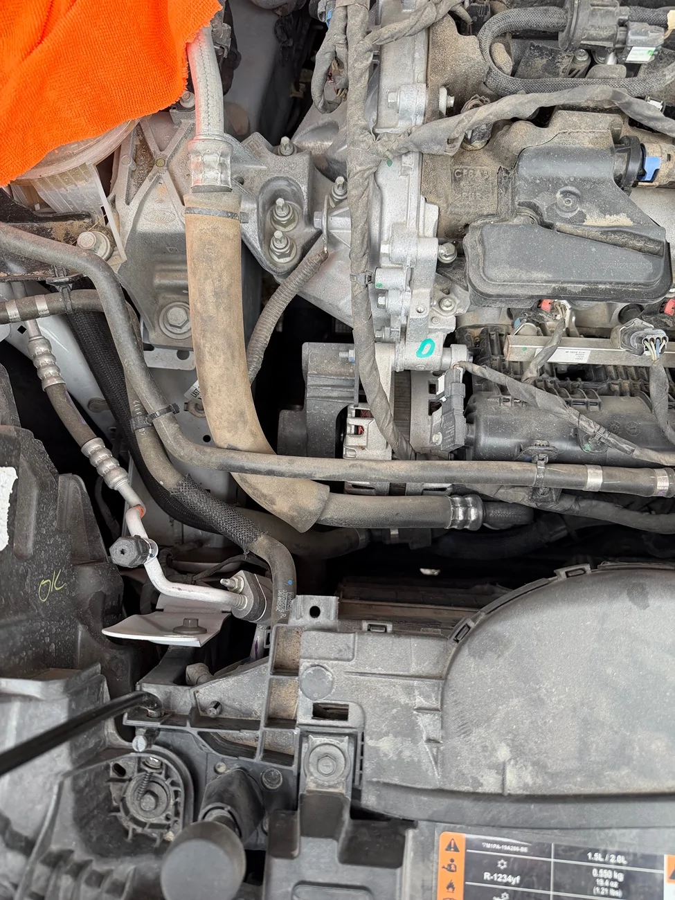 Ford Bronco Sport What did you do TO your Bronco Sport today? IMG_0987