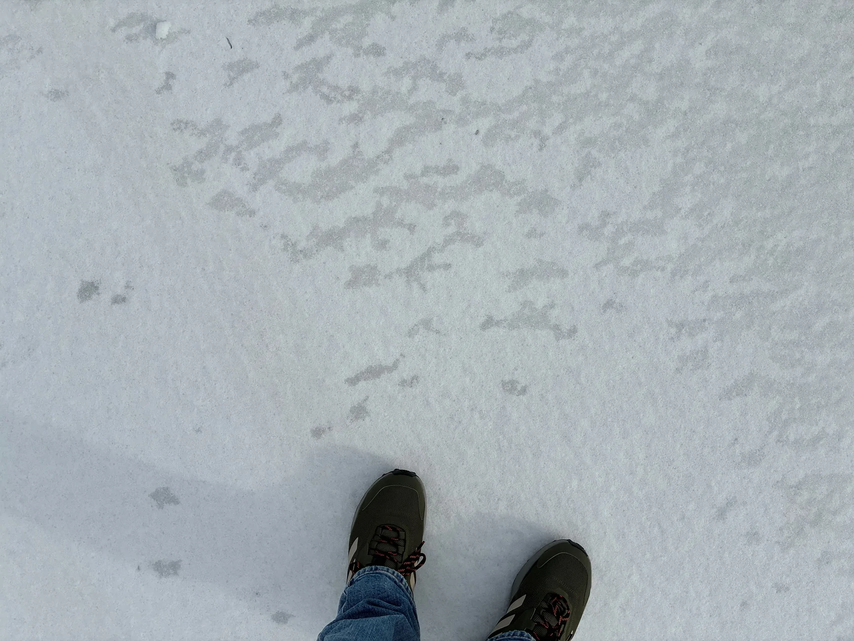 Ford Bronco Sport Snowmageddon is Here Again. Post Your Snow Pics IMG_7214