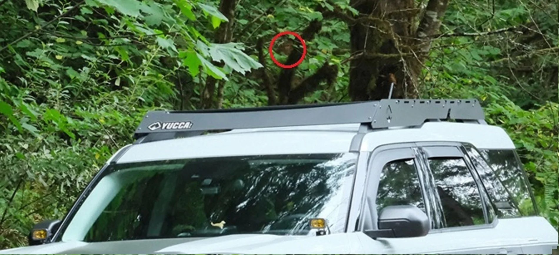 Ford Bronco Sport Roof rack and box Squauch