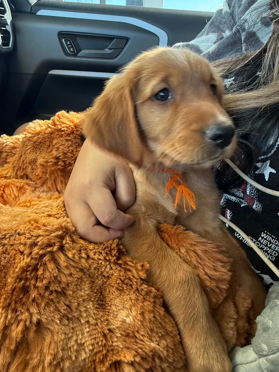 Ford Bronco Sport After Reading about Issues, Then Paying for Issues, Moving On IMG_9297