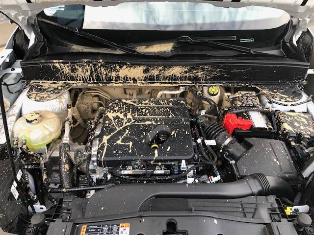 Ford Bronco Sport I'm in! Keeping it simple, started with a BASE. Viewer discretion is advised. IMG_3602.JPG