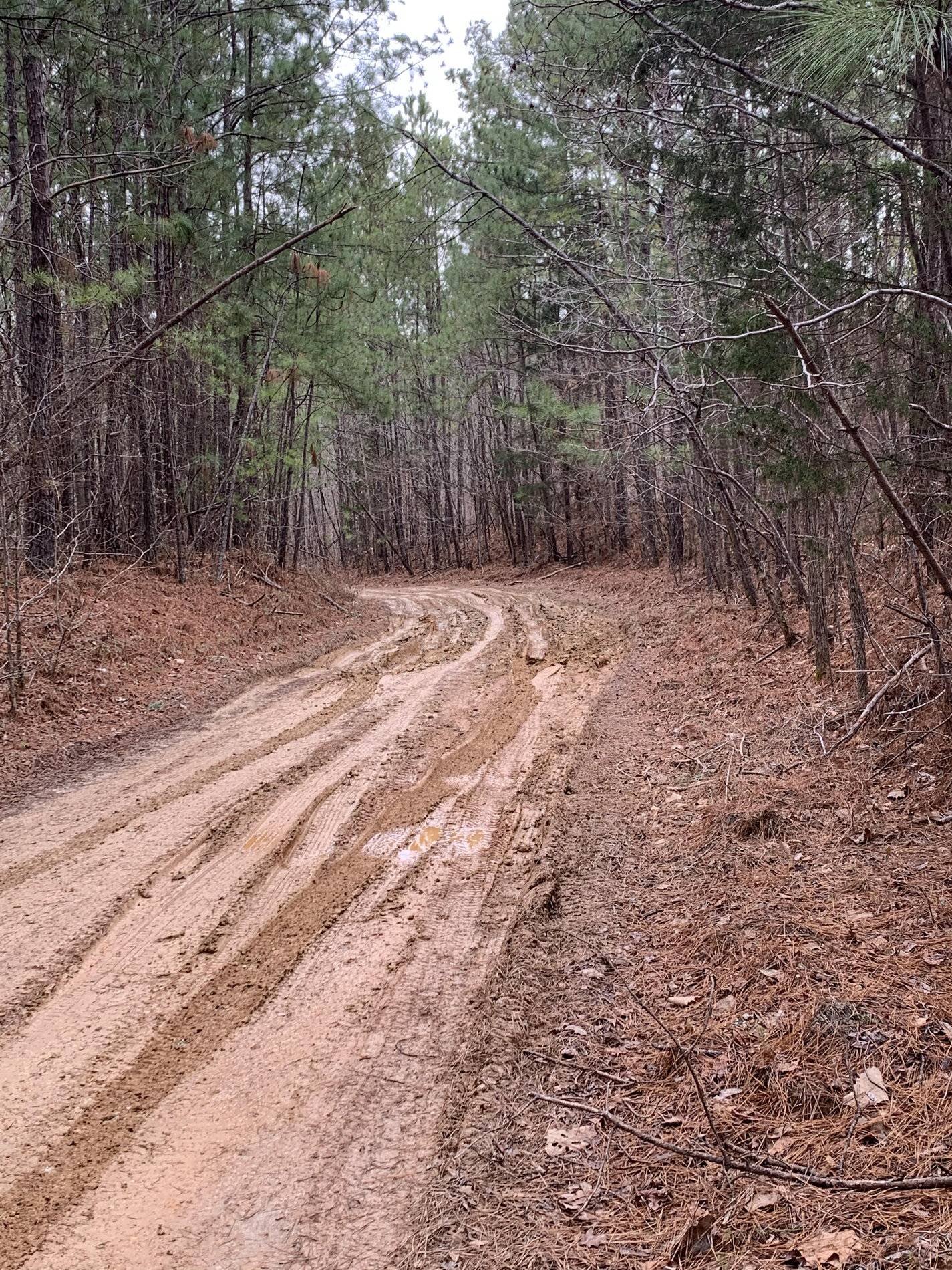 Ford Bronco Sport Bronco Sport Off-Road Driving Impressions 20210125_164416689_iOS